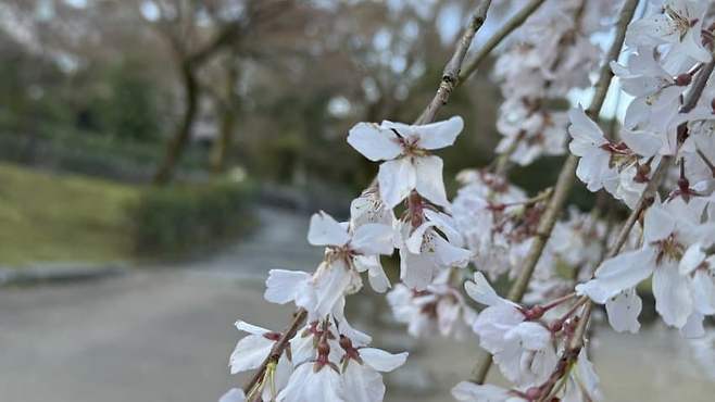 0f98f477b68660f2239d83e3359c701e88e3a17844308b26b67760c848258e243ff9a43bab4ed8828872053b3ba8d48dfaf09f6112