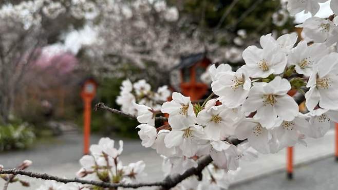 7999f171b38a6df6239c8093329c701bdb2fb906b8a35210438a2a7ef5d19812095cf34e88da9258ced68fa8cdd292aa261db87815