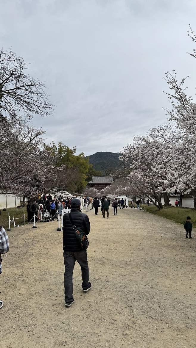 799b8175c7816dfe239a8297479c706cd7e4c196428feb309f2196e3ec1e80f07ea6dca6110b0fda3e3a8d6de6547a7523e466857b