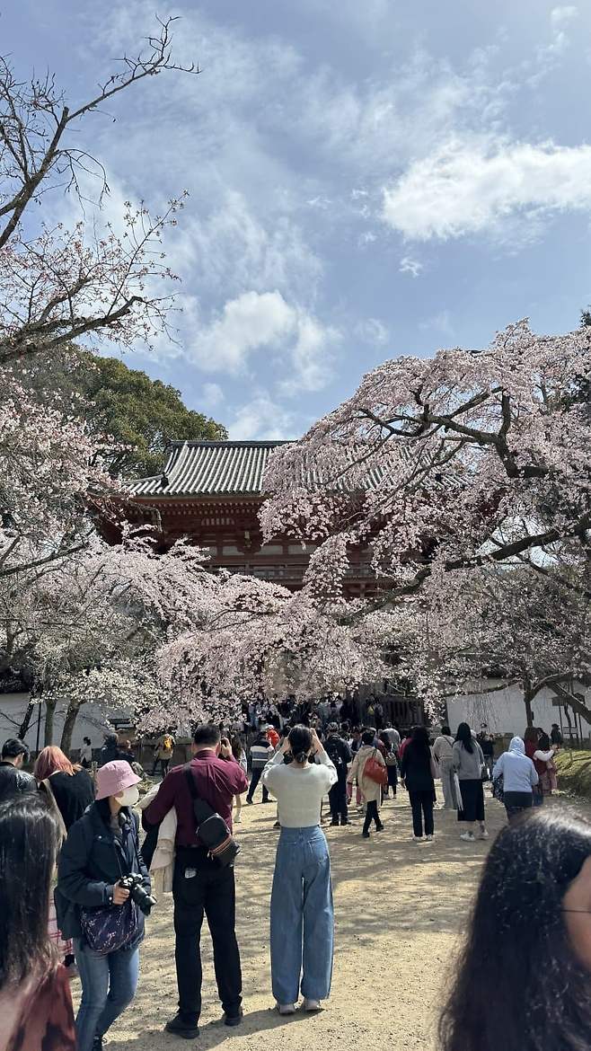 0c9ff503bdf46bf723ea87e3339c70693e06738d51e07c52843b5998bd15a0ff17bca8c734fd9464ad7248b80dcfad214b2a781947