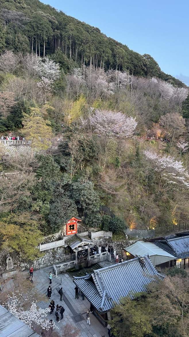 0ce88172b3831c8323ec82ec359c706b4eb3ce670ea58a1624e50435783376f34604bdf39193822ee8bf03ea7aede13a0006128005