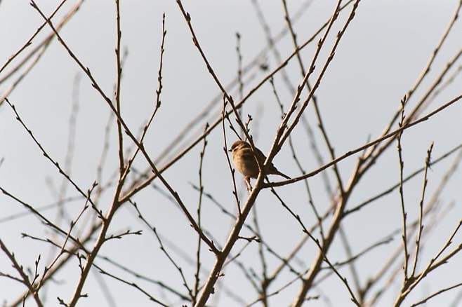 7d9e8873c6851e8323ed8696329c7064deb41c64e3b1e898f90c26a707a21bd760cabe5421f39d2f845f765ca9b8c9fca4db88b124