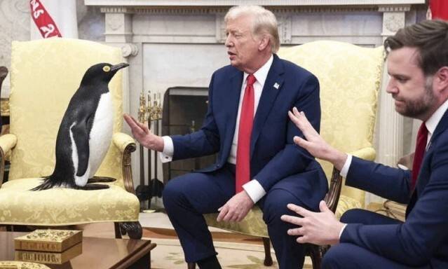 볼로디미르 젤렌스키 우크라이나 대통령과 트럼프 대통령의 회담 장면을 풍자한 ‘펭귄 밈’. 사회관계망서비스 엑스(X) 갈무리