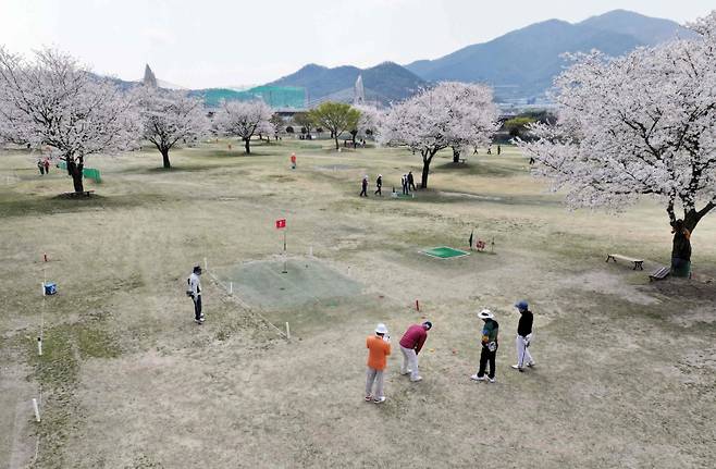 밀양시 전국 파크골프대회 결선전 경기 장면