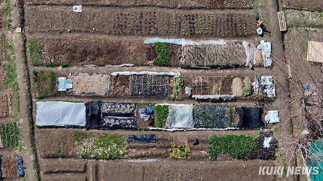 송파구 오용환 홍보담당관은 “주말농장은 주민들이 자연과 함께 즐거움을 누릴 수 있도록 마련한 공간”이라며 “농촌 체험을 통해 건강한 생활과 함께 텃밭을 잘 가꿔서 풍성한 밥상이 되길 바란다”고 말했다.&nbsp;