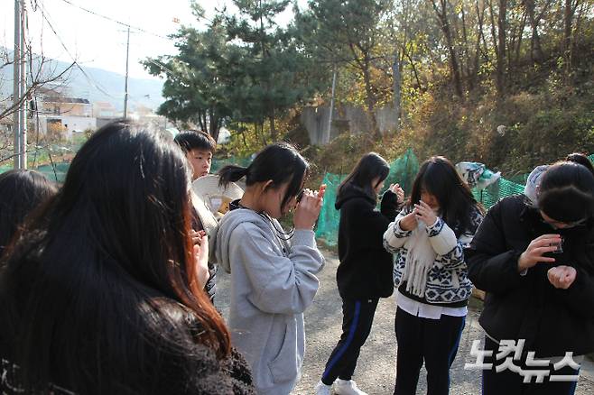 숲체험교실 학생들이 휴대용루펜을 이용해 씨앗을 살펴보고 있다. 반웅규 기자