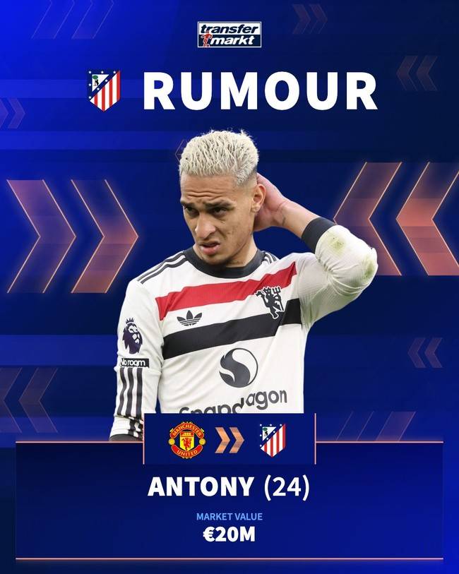 사진 = 트랜스퍼마크트