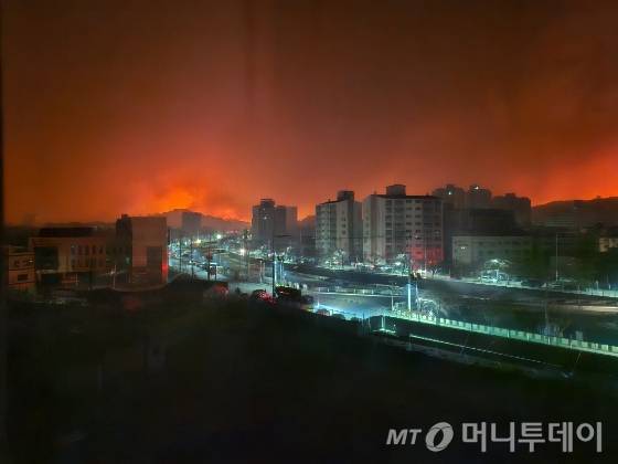 지난달 22일 경북 의성군에서 시작된 산불이 강풍을 타고 영덕군까지 확산된 26일 오전 영덕군 뒤편 산이 불타고 있다./사진=뉴스1