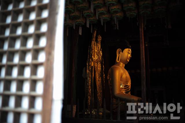 ▲국보 제45호인 소조여래좌상(아미타여래좌상). 조용히 오른쪽을 응시하는 듯한 모습은 내면의 자비와 평온을 상징한다. ⓒ프레시안(최홍식)