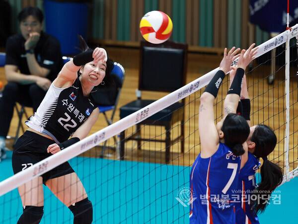 수원시청 이연재.