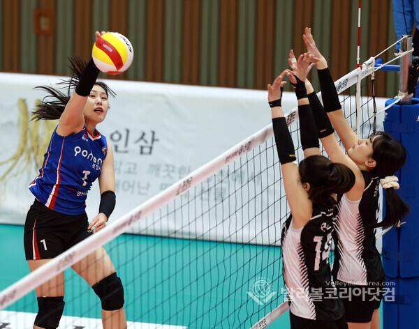 포항시체육회 한송희.