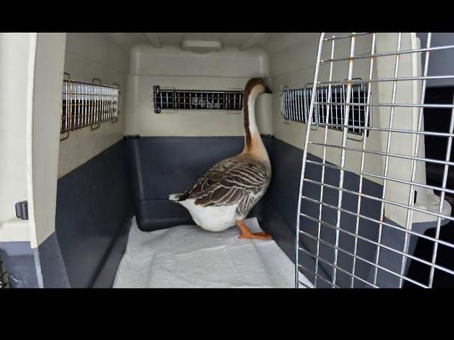 2fb4c222fcd031b46aa69be74683716dfc04dd3b2a957a077f48761ef4512f351e472f71feb6a8b394aa6eccf4c7b38269260c35