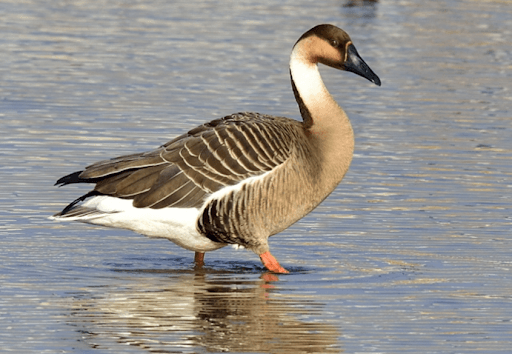 38b3de27e8d73c993cef84e04685746a4e497dd0bb9c034e09e018bbf2f732cebf07466f744319