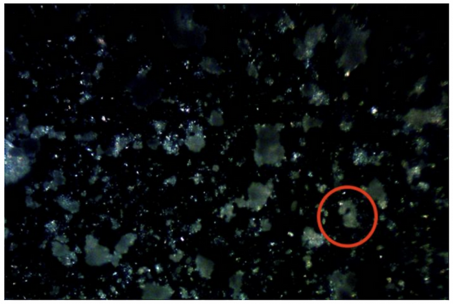 실험에서 일반적으로 사용되는 플라스틱이 나노플라스틱으로 분해되고 있다. Kumar Research Group 제공