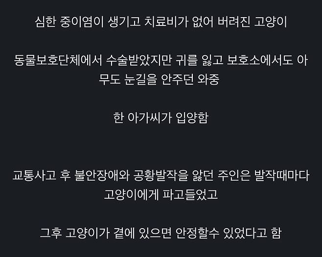 귀가 없는 고양이를 입양한 집사.jpg
