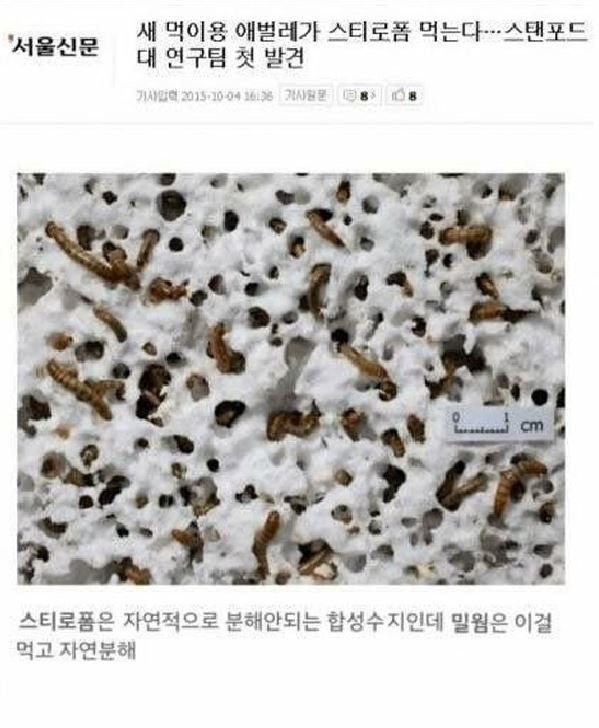111.JPG 일반인과 스탠포드 연구원 차이점.jpg