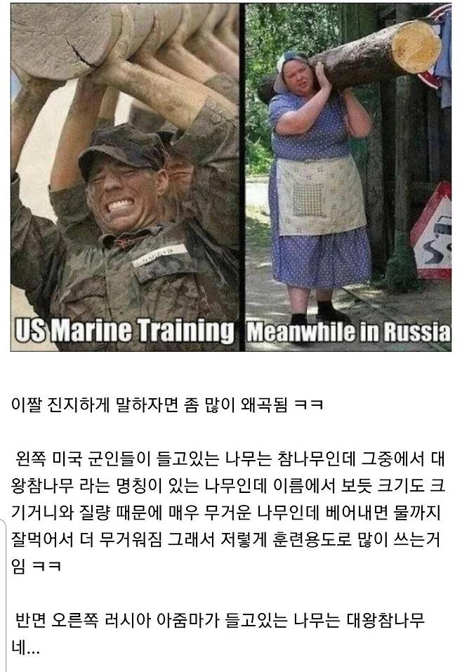 Screenshot_20200703-174939_Samsung Internet.jpg 러시아 아줌마가 나무 드는 짤의 진실..jpg 러시아 아줌마가 나무 드는 짤의 진실..jpg