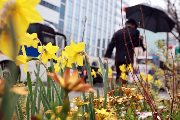 서울 종로구 운현궁 인근에서 우산을 쓴 시민이 이동하고 있다. [사진=연합뉴스]