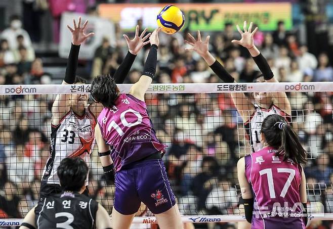 [인천=뉴시스] 정병혁 기자 = 8일 인천 부평구 삼산월드체육관에서 열린 2024-2025 V-리그 여자부 챔피언결정전(5전 3선승제) 5차전 흥국생명 핑크스파이더스와 정관장 레드스파크스의 경기, 흥국생명 김연경이 스파이크를 하고 있다. 2025.04.08. jhope@newsis.com