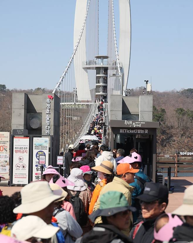 6일 전북 임실군 붕어섬에서 '옥정호 벚꽃축제'가 열리고 있는 가운데 출렁다리가 인파로 북적이고 있다. ⓒ임실군