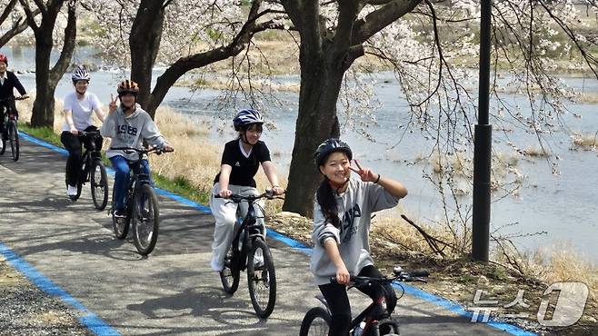 9일 충북 괴산 칠성중학교 학생과 교사들이 쌍천 벚꽃길에서 자전거를 타고 있다.(괴산증평교육지원청 제공, 재판매 및 DB금지)/뉴스1