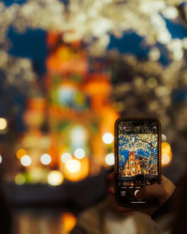 3ab8d236c1e11bf637eb82e058c6213f182b61dc5bffd50a3e3aa8e15485