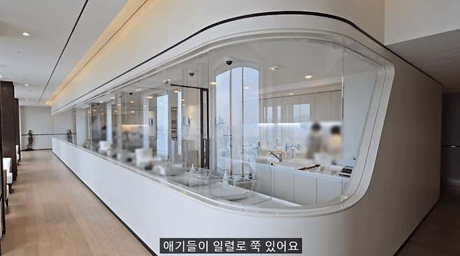 산후조리원에 1300만원 쓴 어느 유튜버