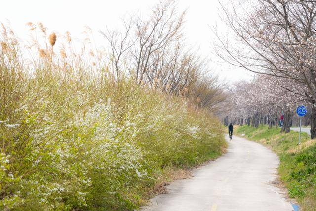 자전거를 탄 시민이 전북 익산시 만경강 자전거도로를 달리고 있다.