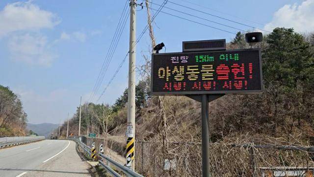 경기 양평군 6번 국도변에 설치된 LED전광판을 통해 야생동물 감지 현황을 표시하고 있다. 포스코DX 제공