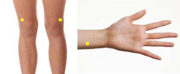 노란색 점으로 표시된 부분이 각각 양구혈과 장문혈이다./클립아트코리아