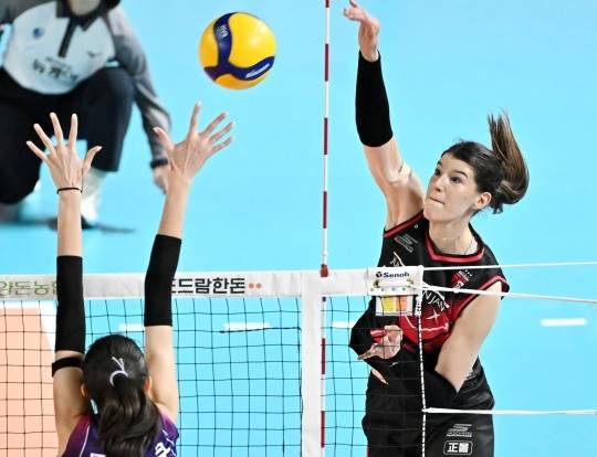 공격하는 정관장의 부키리치. 사진[연합뉴스]