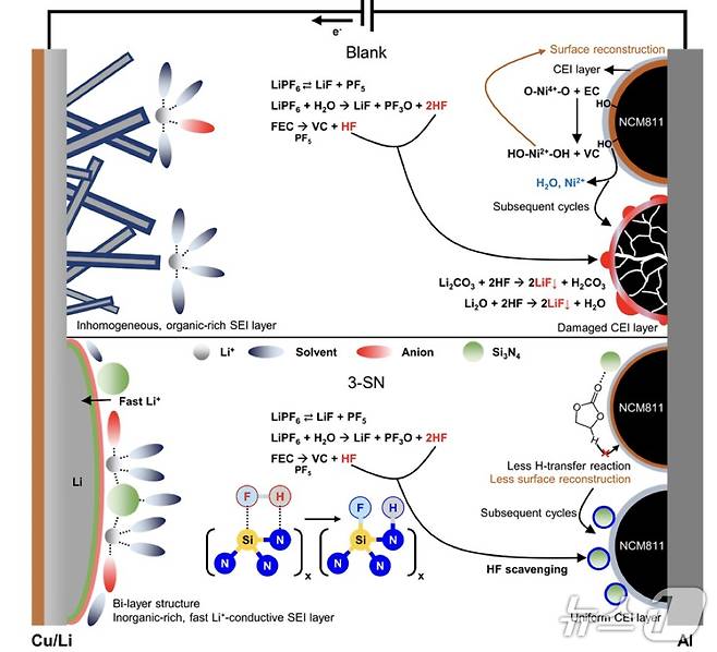 나노 입자 전해질 적용한 리튬 금속 전지 연구 개념도. (한국연구재단 제공. 재판매 및 DB금지) /뉴스1