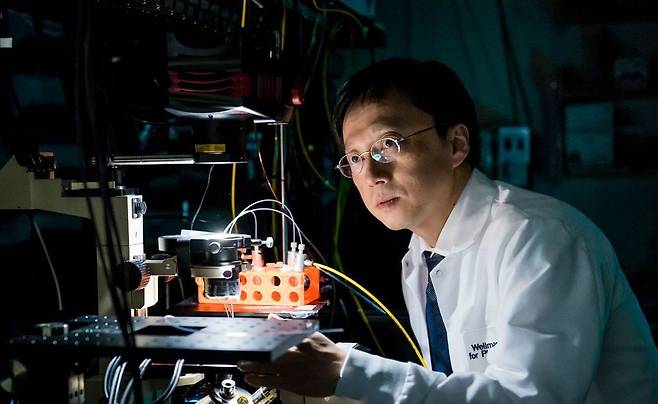 윤석현 하버드 의대 교수가 미국 매사추세츠 케임브리지에 있는 학교 내 연구실에서 현미경으로 연구 결과를 확인하고 있다. 그는 세포에 초소형(나노 크기) 레이저 또는 광학 센서를 부착하고, 세포가 움직이거나 상태가 바뀔 때 나오는 빛의 변화를 분석하는 광의학 분야 석학으로 꼽힌다. /윤석현 교수 연구실