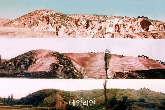 산림녹화기록물 대표이미지. ⓒ산림청