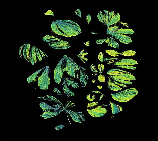 분자 우주 MU-0 플랫폼에서 자원 축소 알고리즘으로 시각화한 '분자 우주 지도' (SES AI 제공)
