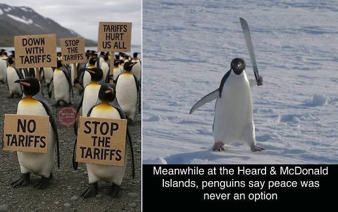 도널드 트럼프 미국 대통령의 일방적인 관세 정책을 조롱하는 밈. 엑스(X·구 트위터) 캡처