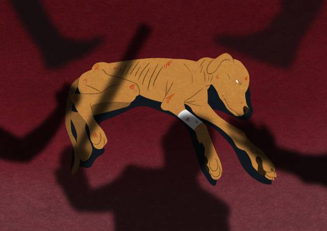 사진은 해당 기사 내용과 무관. 이미지투데이