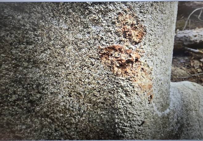 &nbsp;재선충 방제작업&nbsp; 중 훼손된 경주 남산 용장계곡의 석조여래좌상 ⓒ독자 제공