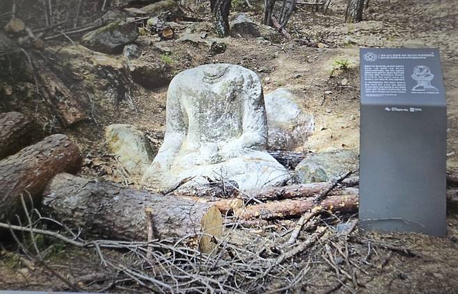 &nbsp;경주남산 용장계곡의 석조여래좌상. 재선충 작업 과정에서 발생된 벌목들로부터 좌상이 보호를 받지 못하고 있다. ⓒ독자 제공&nbsp;