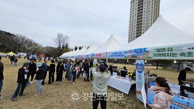 ▲ 12일 속초 영랑호 잔디광장 일원에서 열린 ‘영랑호 벚꽃축제’ 행사장에 많은 시민과 관광객들이 몰려 성황을 이루고 있다.