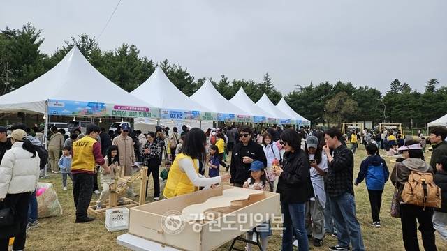 ▲ 12일 속초 영랑호 잔디광장 일원에서 열린 ‘영랑호 벚꽃축제’ 행사장에 많은 시민과 관광객들이 몰려 성황을 이루고 있다.