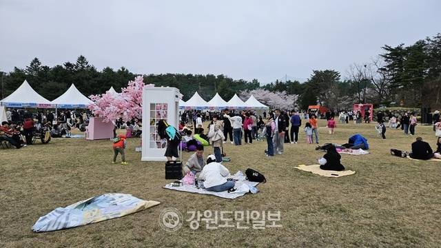 ▲ 12일 속초 영랑호 잔디광장 일원에서 열린 ‘영랑호 벚꽃축제’ 행사장에 많은 시민과 관광객들이 몰려 성황을 이루고 있다.