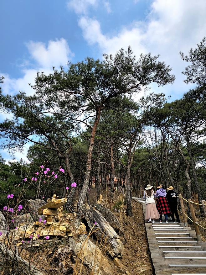 채계산 출렁다리 가는 길.