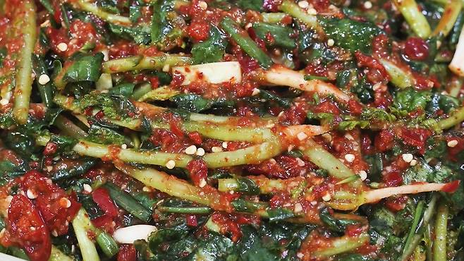 열무김치 레시피