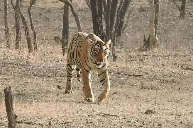 7ced8076b5836af33fe798a213d3341df0b69971fe62c4b2ecb65d