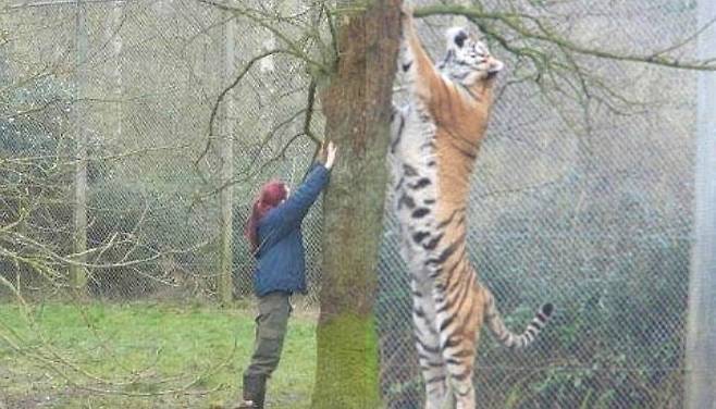 7ced8076b5836af33fe898bf06d60403798c479d1d4048cb08