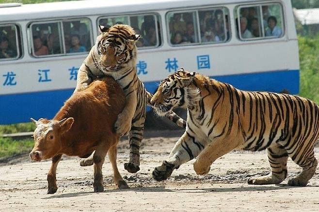 7ced8076b5836af33ceb98bf06d60403a3e9b04bf364c62e1847