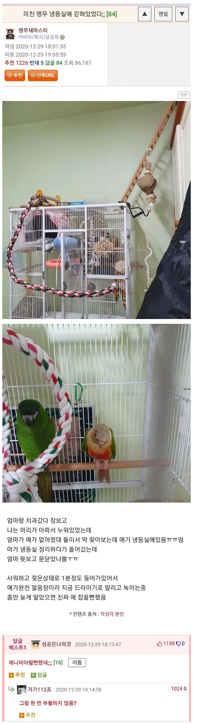 5187c32ff6afc02a2113443d3efd1a16.png 냉동실에 갇혀있었던 앵무새ㄷㄷ.jpg 냉동실에 갇혀있었던 앵무새ㄷㄷ.jpg