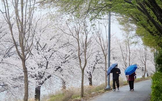 People holding umbrellas walk along the Gongjicheon trail in Chuncheon, Gangwon, as strong winds with snow and rain on April 14. [YONHAP]