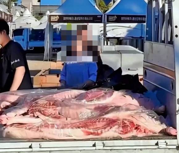 10일 온라인 커뮤니티에는 지난 2023년 11월 충남 홍성 바비큐 축제 현장에 바비큐용 생고기가 운반된 모습이 공유됐다. 에펨코리아 캡처